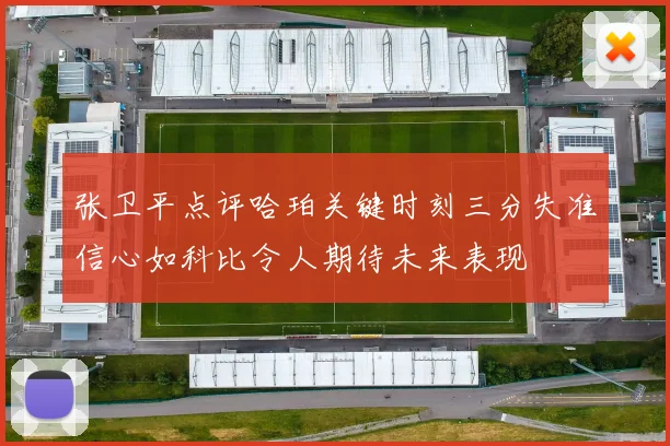张卫平点评哈珀关键时刻三分失准信心如科比令人期待未来表现